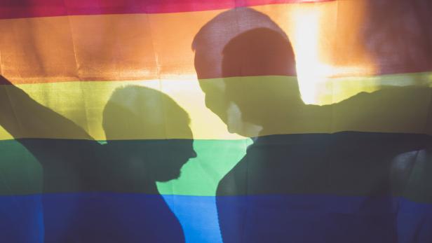 Verbot von "Homo-Heilungen" könnte im Juni in den Nationalrat kommen