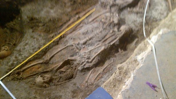 Freigelegte menschliche Skelette bei einer archäologischen Ausgrabung.