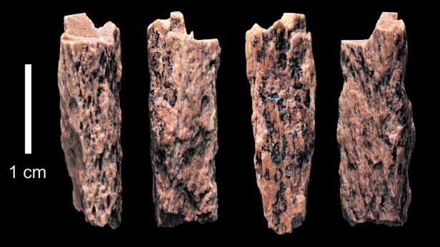Knochenfund beweist: Multikulti gab es schon in der Steinzeit