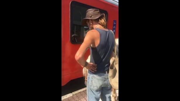 Pferd im Zug mitgeführt: "War kein PR-Gag"