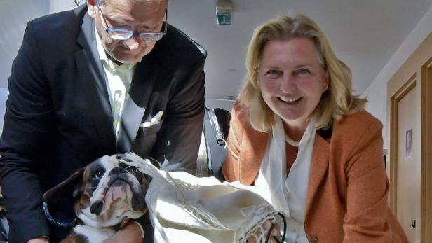 Am Tag nach dem kleinen Schwächeanfall präsentierte sich Außenministerin Karin Kneissl mit ihrem Ehemann und ihren beiden Boxer-Hunden voller Elan.