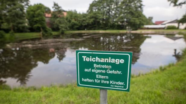 In diesem - frei zugänglichen - Teich ertranken die Kinder