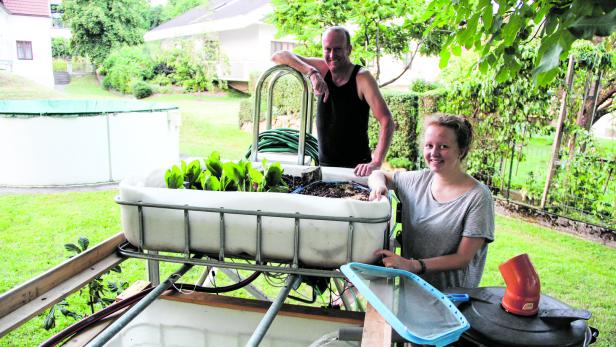 Hochsensible Ferienarbeit: Lisa Hochgatterer mit Vater Thomas bei ihrer Aquakultur