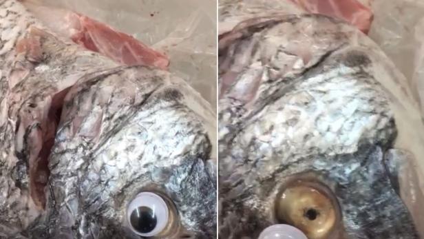Frische Optik: Geschäft in Kuwait klebt Plastikaugen auf Fisch