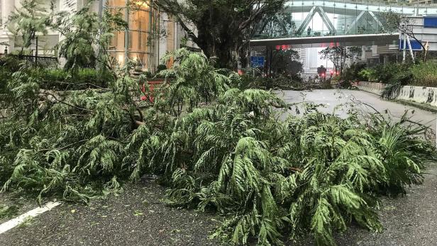 Nach Taifun „Mangkhut“ und Hurrikan „Florence“: Viele Todes-Opfer in Teilen von Asien und in den USA