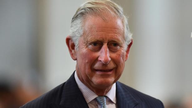 Prinz Charles regt mit Spendenaufruf auf