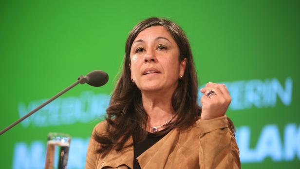Maria Vassilakou: "Wir wollen sechs grüne Bezirksvorsteher"
