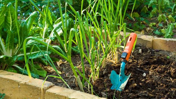 Meine Kollegen überreichten mir schon mal symbolisch ein Gartenschauferl. Im Mai geht&#039;s dann richtig los.