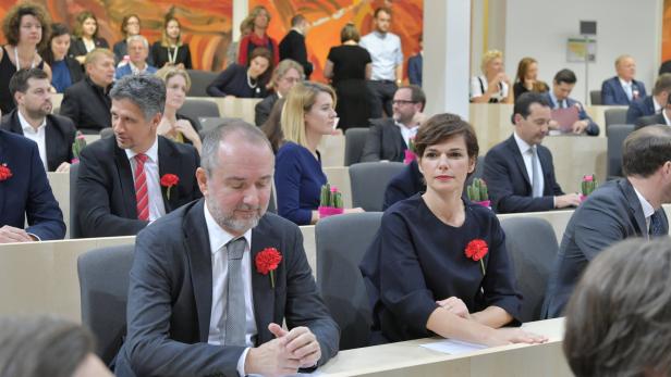 Rendi-Wagner will in SPÖ umrühren: Drozda statt Schieder?