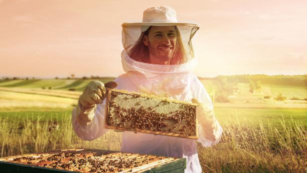 Bienen-Boom im Burgenland