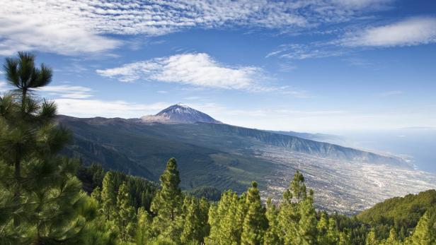Der schneebedeckte Gipfel des Teide auf Teneriffa, gesehen durch Kiefern hindurch.