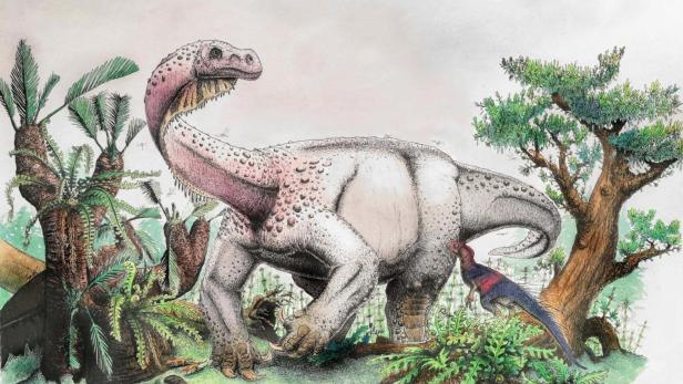 Südafrika: Riesige neue Dinosaurierart entdeckt