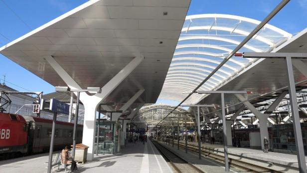 Das Dach des Salzburger Hauptbahnhofs, ein Prestigeobjekt. Bei Industrie und Infrastruktur kommt Stahl oft zum Einsatz, im Wohnbau kaum.