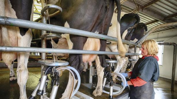Minister Rupprechter will, dass die Bauern für weniger Milch mehr Geld bekommen