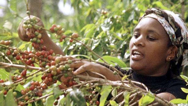 Die Geschichte hinter dem Projekt von Lavazza soll erzählen, wie die Gemeinschaften der Kaffee-Bauern auf jene von Slow Food treffen.