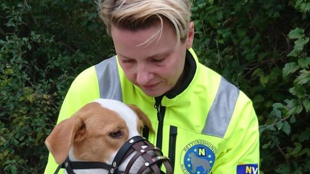 St. Pölten: Hundeführer gegen Maulkorb-Erlass