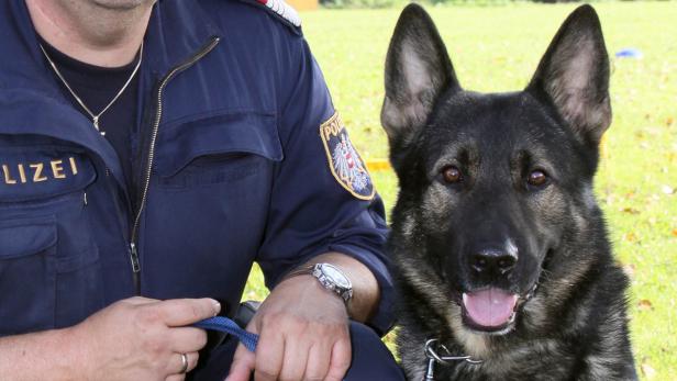 Polizeihund "Dasty" erhält Ehrengrab