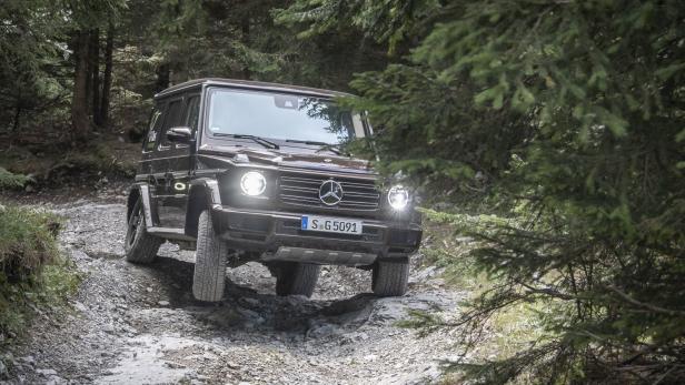 Mercedes G im Härtetest: Über Stock und Stein zum Gipfel