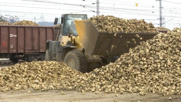 EUGH-Urteil: Wie geht es mit der Zuckerproduktion in Österreich weiter?