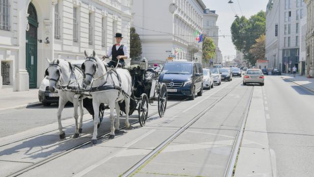 Die Pferdegespanne sollen aus der Innenstadt abziehen, fordern ÖVP- und Grünen-Politiker