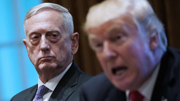 US-Verteidigungsminister sieht sich weiter "im Team" von Trump