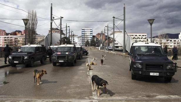 Dogs are seen near the barricade set up on the main bridge in the ethnically divided town of Mitrovica March 19, 2013. Serbia does not recognise Kosovo&#039;s 2008 secession, but is under pressure from the European Union to improve ties and help overcome a split between Kosovo&#039;s Albanians and a Serb enclave in the north over which Belgrade retained de facto control. Picture taken March 19, 2013. To match story KOSOVO-SERBIA/ REUTERS/Marko Djurica (KOSOVO - Tags: POLITICS ANIMALS)