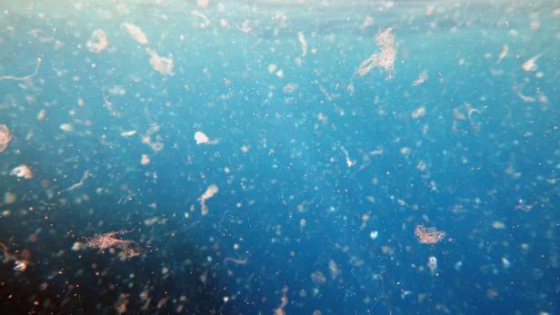 Sea water contaminated by micro plastic.