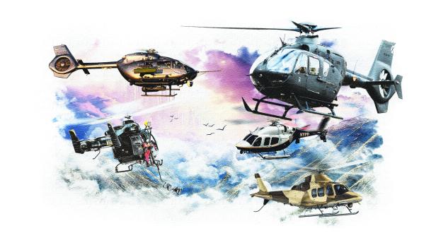 Das Bundesheer sucht den Top-Helikopter