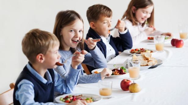 Greenpeace untersuchte in 25 Städten das Mittagsessen für Kinder in öffentlichen Einrichtungen