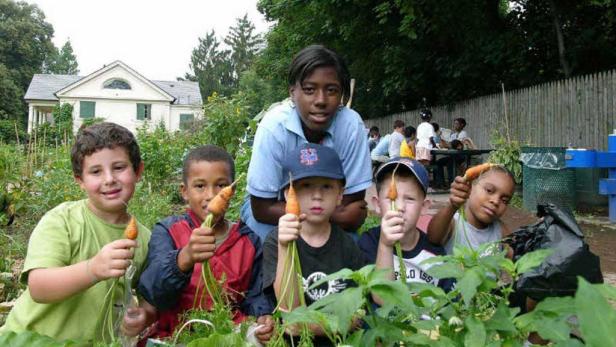 Junges Gemüse: Jetzt garteln Kinder