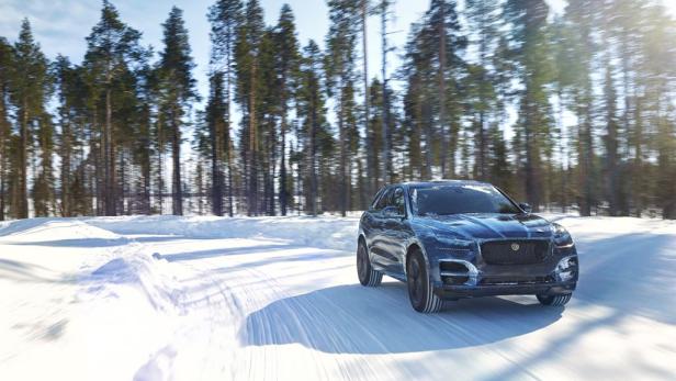 Ein blauer Jaguar F-PACE fährt auf einer schneebedeckten Straße durch einen Wald.
