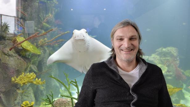 Ein Mann lächelt vor einem Aquarium mit einem Rochen.