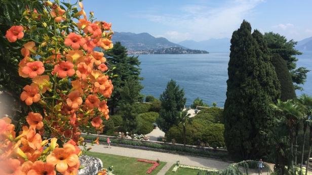 Orangefarbene Trompetenblumen mit Blick auf einen See und Berge.