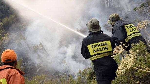 Einsatzkräfte kämpfen seit dem Wochenende gegen das Flammenmeer auf Zypern.