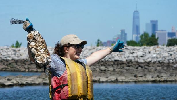 Eine Mitarbeiterin des Billion Oyster Projects vor der New Yorker Skyline.
