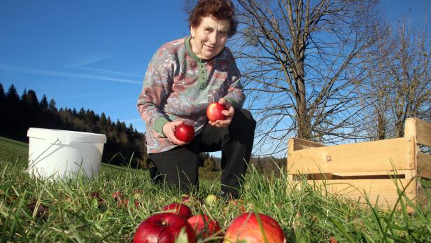 Rosa Fuxsteiner freut sich über die vielen Früchte der Streuobstwiesen.