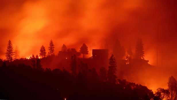 Schwere Waldbrände in den USA: Viele Todes-Opfer