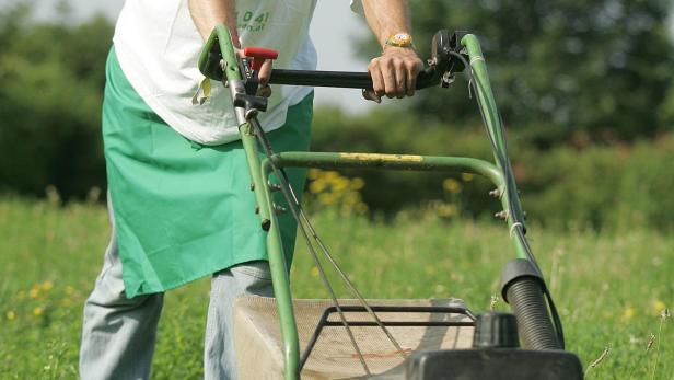 Ein Mann mit Hut schiebt einen Rasenmäher über eine blühende Wiese.
