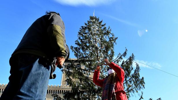Der Weihnachtsbaum im vergangenen Jahr sorgte für internationale Berichte.