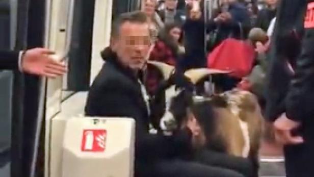 Mann mit Ziege legte Pariser Metrolinie lahm