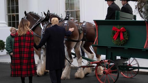 Donald und Melania Trump nahmen am Montag den Weihnachtsbaum des Weißen Hauses in Empfang.