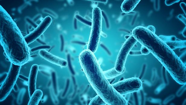 microscopic blue bacteria background