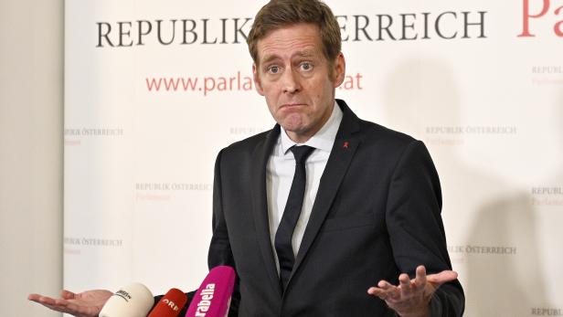 SPÖ-Fraktionsführer im U-Ausschuss: Kai Jan Krainer
