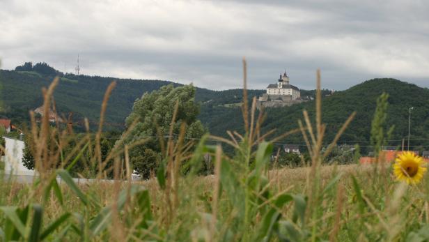 Das Mattersburger Hügelland ist – wie schon geplant – vor Kurzem zum Schutzgebiet erklärt worden.