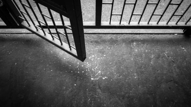 Weihnachtsamnestie: Van der Bellen begnadigt 18 Häftlinge
