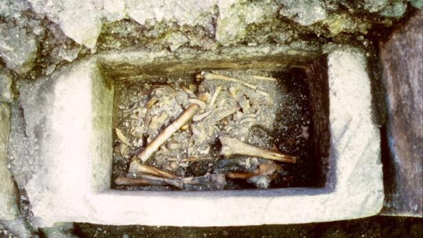 Knochen von der ersten Heiligen in Österreich gefunden