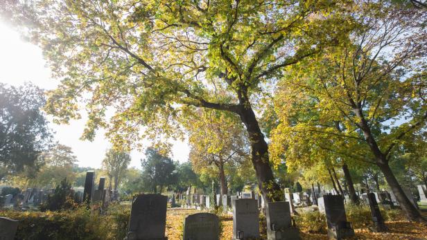 Warum Begräbniskosten so hoch sind