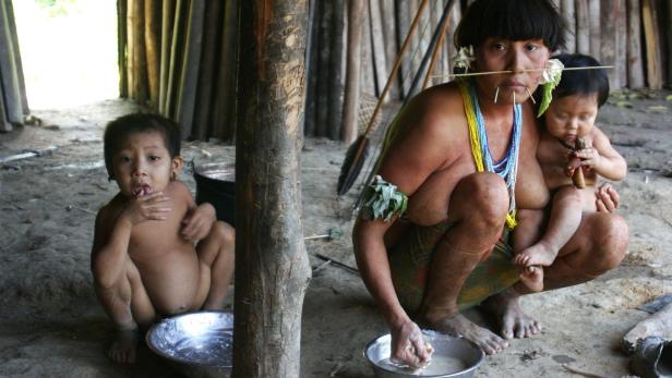 Yanomami: Ihre Blutdruckwerte bleiben ein Leben lang unverändert niedrig.