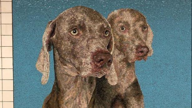 Mosaikbild von zwei Weimaraner Hunden auf hellblauem Hintergrund.