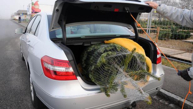 Weihnachtsbaum im Auto: So transportiert man den Baum richtig